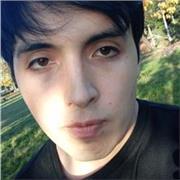 Profesor de programación y base de datos